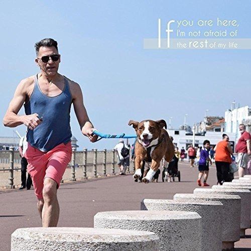 Correa Corta Para Perros De Petbaba, Cable Ajustable De 2