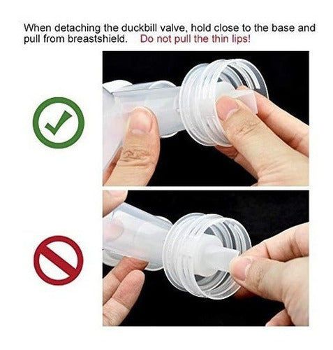 Válvula De Bomba Para Bombas