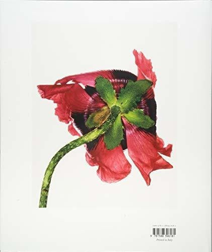Irving Penn: Tapa dura del centenario. Libro