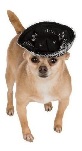 Sombrero De Mascota
