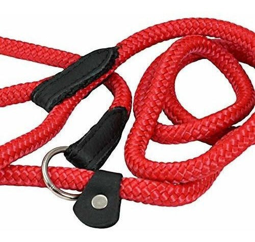 Collar Y Correa para perros