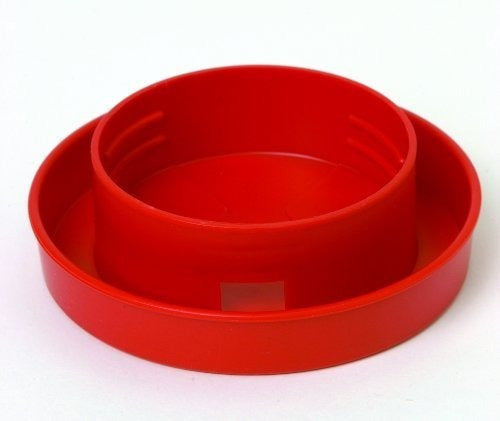 Base De Codornices Comederos de Aves