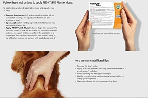 Frontline Plus Para Perros Medianos 23-44 Libras
