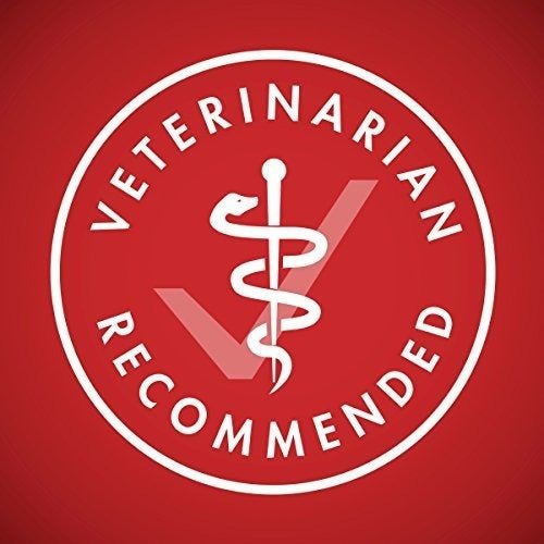 Purina One Alimento Para Perros Seco Con Fórmula De Fórmula