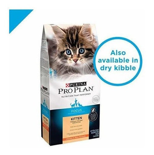 Purina Pro Plan Focus Kitten Favoritos Paquete De Alimentos