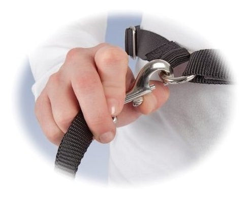 CORREA DE PERRO Negro