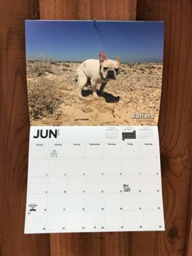 Calendario 2019 De La Mordaza Del Elefante Blanco