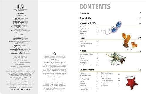 El Libro De Animales Una Enciclopedia Visual De La Vida