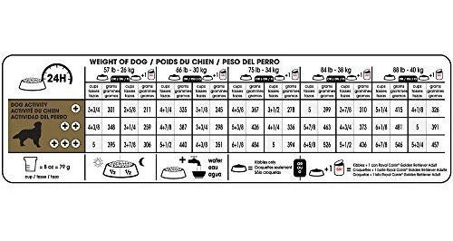 Royal Canin Breed Health Nutrition Golden Retriever Adulto