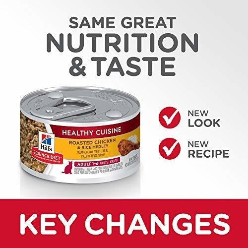 comida saludable para gatos