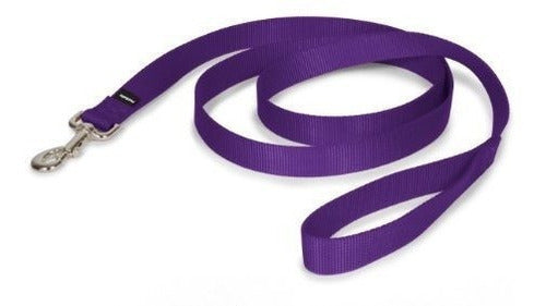 Correa PetSafe para mascota