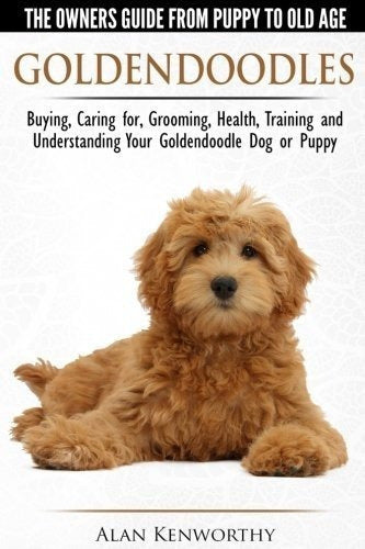 La Guía Del Propietario Desde El Cachorro