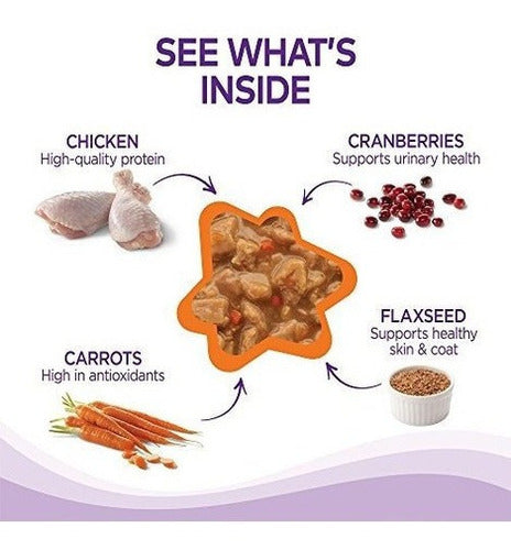 Wellness Complete Health Grano Natural, Comida Para Gatos