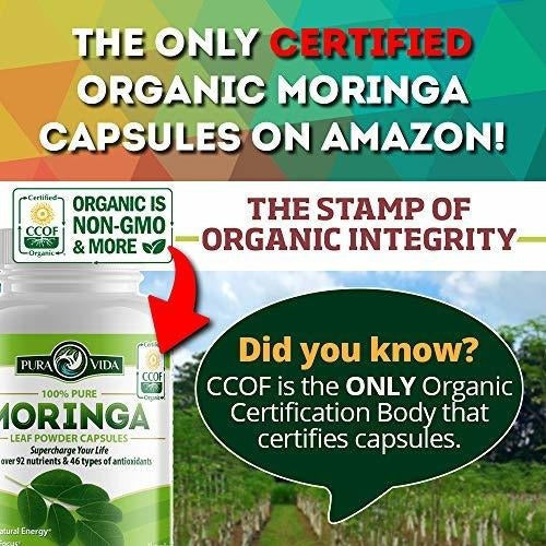 Cápsulas Orgánicas De Moringa Oleifera En Polvo Energía