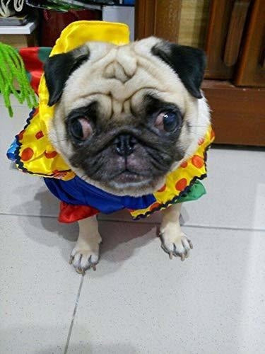 Disfraz De Payaso De Perro