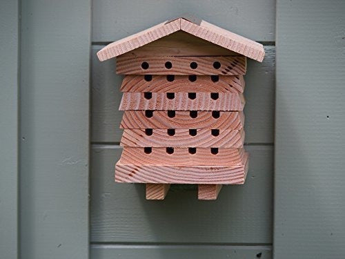 Casa Del Sistema De Manejo De La Abeja Mason