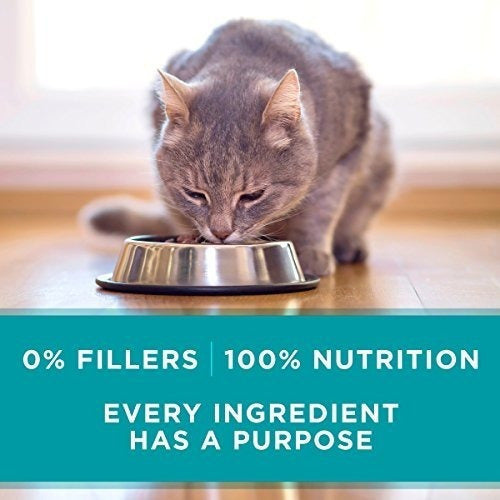 Purina One True Instinct Recetas Comida Húmeda Para Gatos