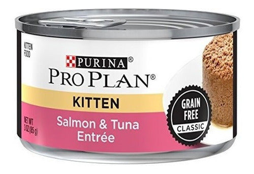 Alimento Para Gatitos Húmedos De Salmón