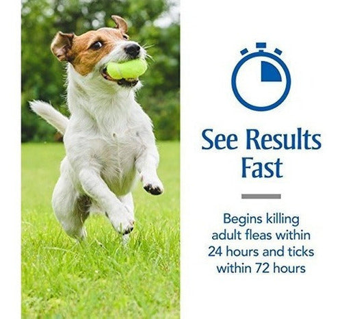 Petarmor Para Perros, Pulgas Y Garrapatas Para Perros