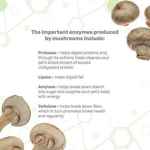 Complejo De Hongos Orgánicos Para Mascotas 2.1 onzas 60 g