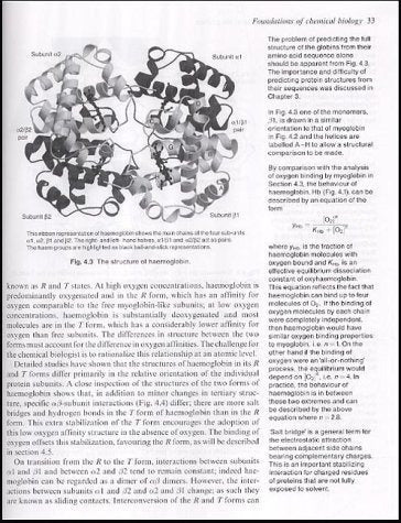 Fundamentos De La Biología Química (oxford Chemistry