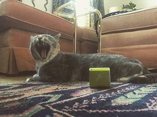 Pet Acoustics Pet Tunes Altavoz Bluetooth Precargado