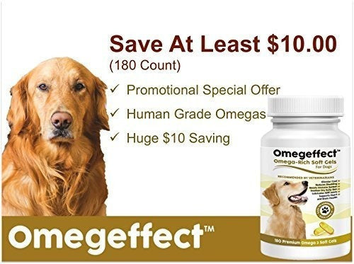 Aceite De Pescado 100% Puro Omega 3 Para Perros: Geles