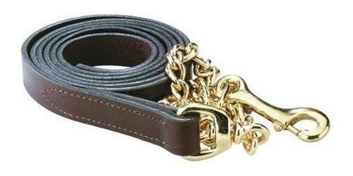 Correa de Cuero Con Cadena De 30 para perros