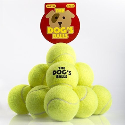 12 Pelotas De Tenis Para perro