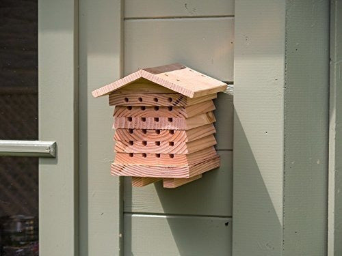 Casa Del Sistema De Manejo De La Abeja Mason