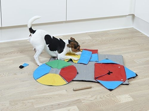 Juguete de iniciación para mascota