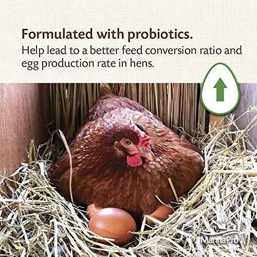 rano de aves de corral con probióticos