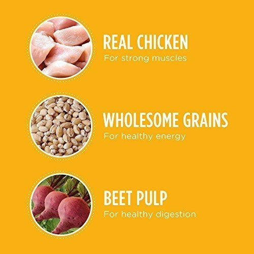 comida para cachorro