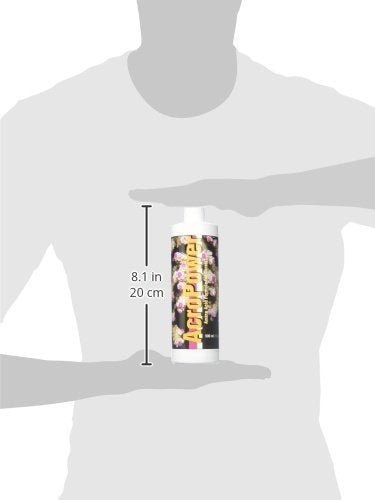 Dos Aminoácidos Pequeños Acropower De Fishies Para Los