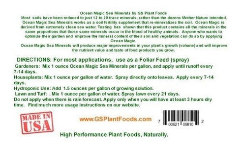 Minerales marinos mágicos del océano