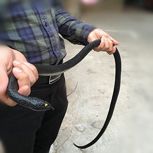 Serpientes Realistas de Caucho