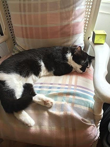 Pet Acoustics Pet Tunes Altavoz Bluetooth Precargado