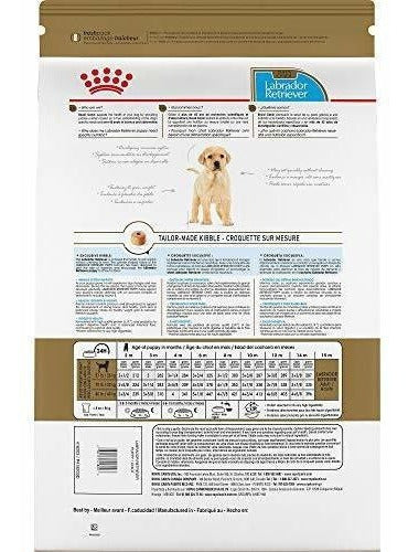 Cachorro Labrador Retriever Royal Canin Breed Health