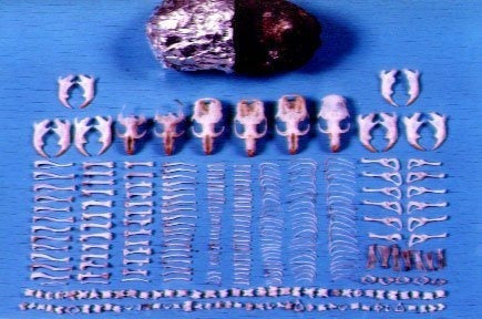 Materiales de educación infantil