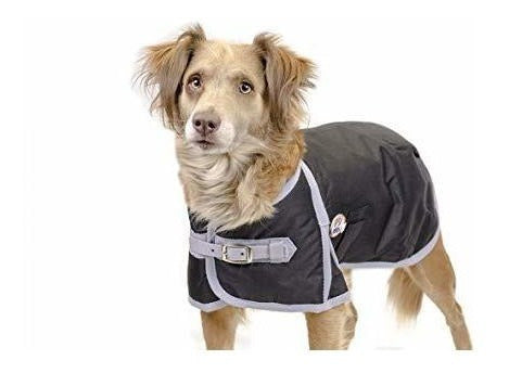 Derby Originals 600d Prenda Impermeable Para Perros Aislada