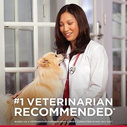 Comida Húmeda Para Cachorros