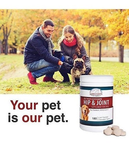 Glucosamina de la mejor calidad para caderas de perros