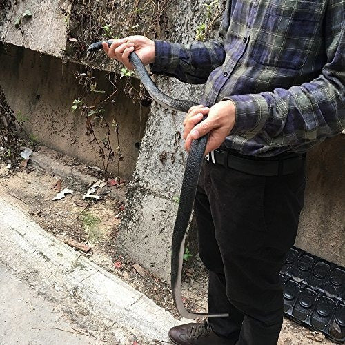 Serpientes Realistas de Caucho