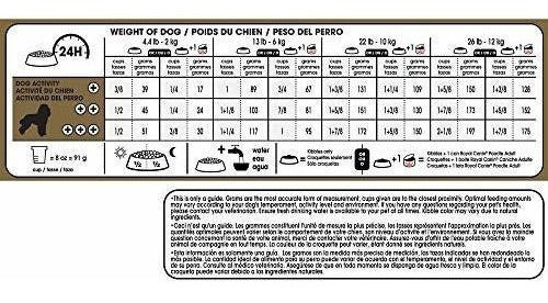 Royal Canin Raza Salud Nutrición Caniche Adulto Pienso Seco