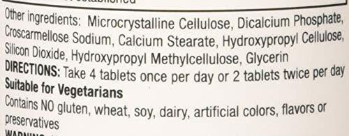 Extracto Estupendo De La Sabiduría De La Seta, Mane Del
