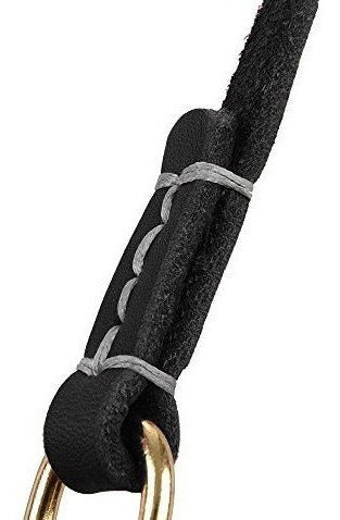 Correa Para Perro Pequeña Y Mediana De 4 Pies