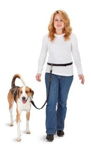 CORREA DE PERRO Negro