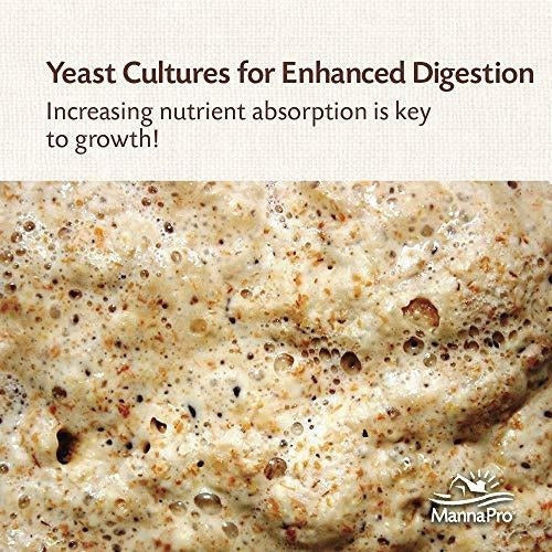 Manna Pro Gamebird Showbird Se Desmorona, 5 libras