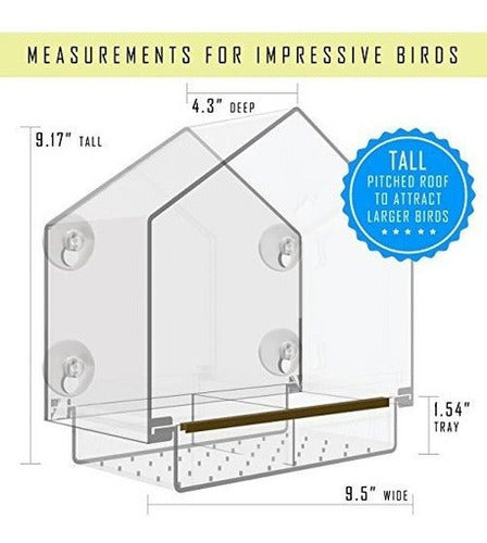 Comedero para pájaros en la ventana