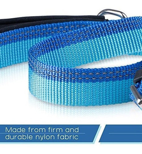 Correa Corta Para Perros De Petbaba, Cable Ajustable De 2